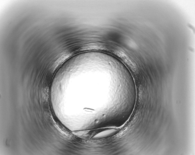 X0000093771233200710301159