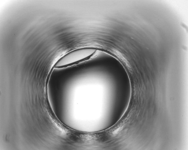 X0000093771234200710301159