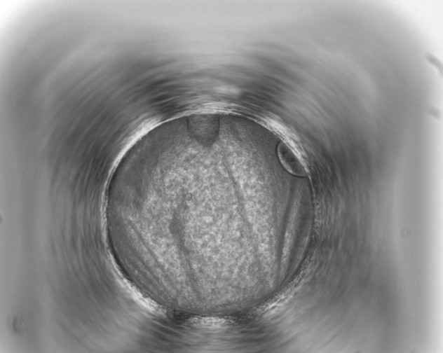 X0000093771235200710301159