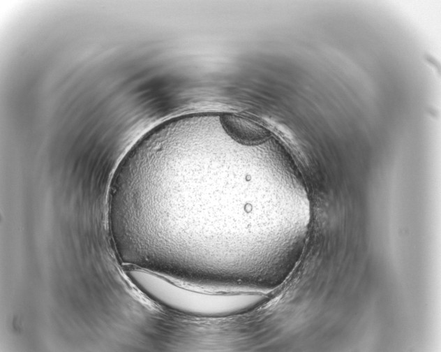 X0000093771236200710301159