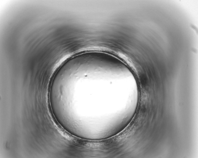 X0000093771237200710301159