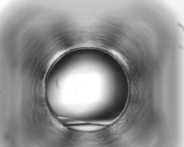 X0000093771238200710301159