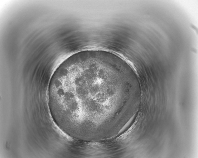 X0000093771239200710301159