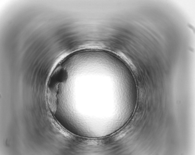 X0000093771240200710301159