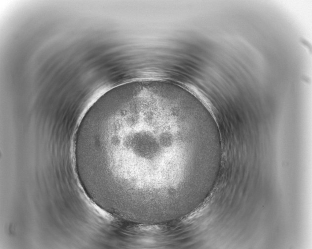 X0000093771243200710301159