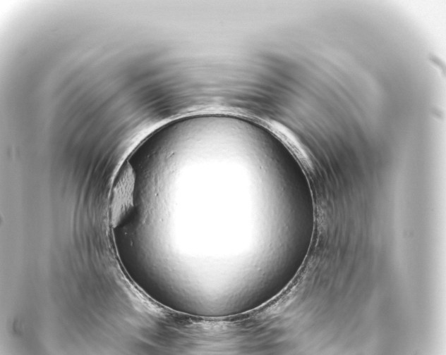 X0000093771244200710301159