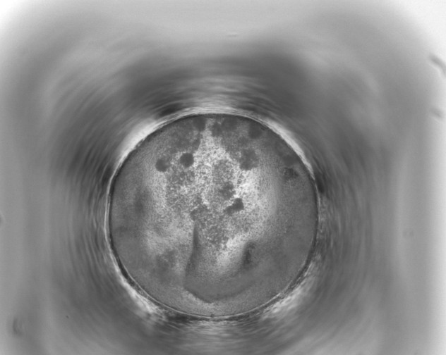 X0000093771245200710301159