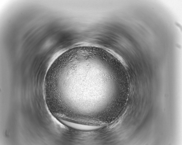 X0000093771247200710301159