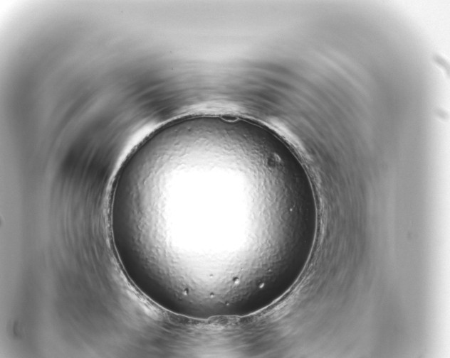 X0000093771248200710301159