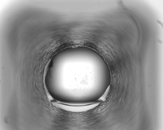 X0000093771249200710301158