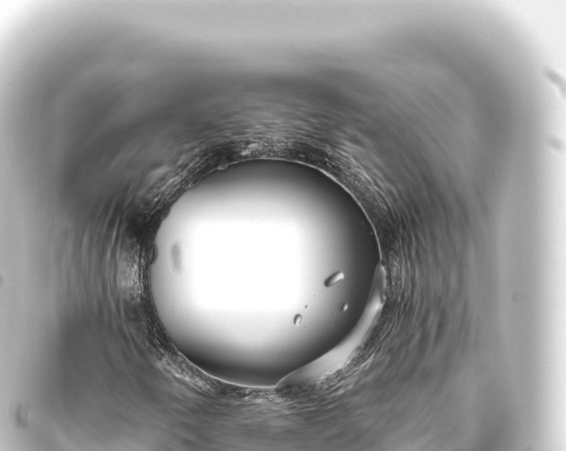 X0000093771250200710301158