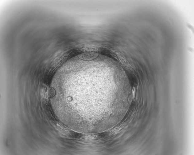 X0000093771251200710301158