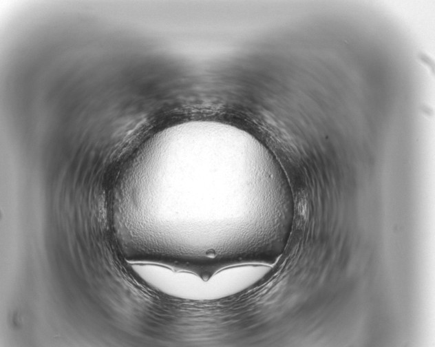 X0000093771252200710301158