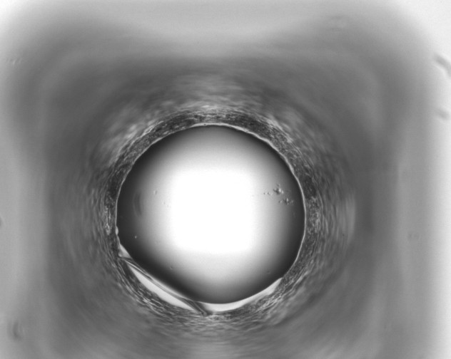 X0000093771253200710301158