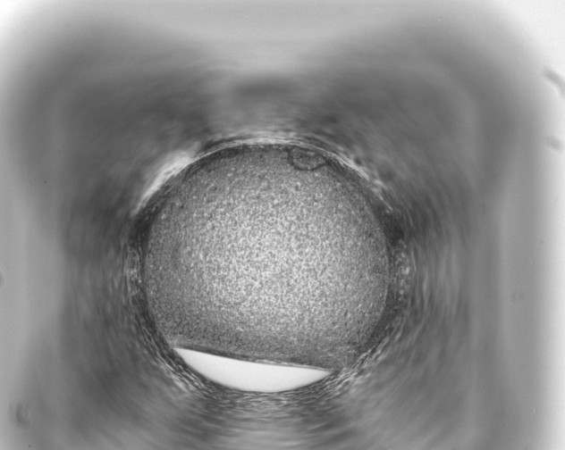 X0000093771255200710301158