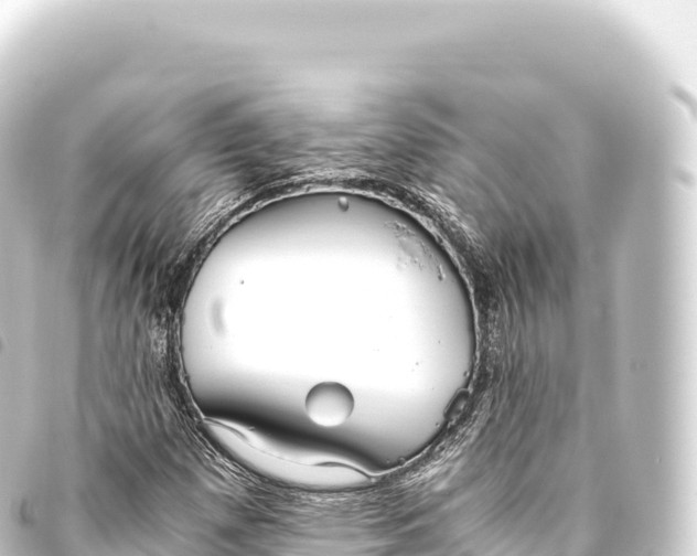 X0000093771257200710301158