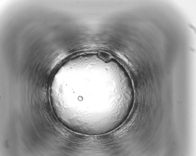 X0000093771259200710301158