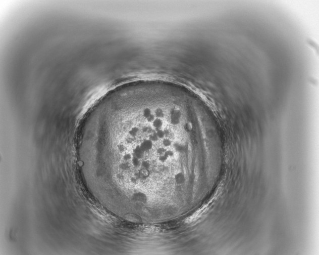 X0000093771263200710301158