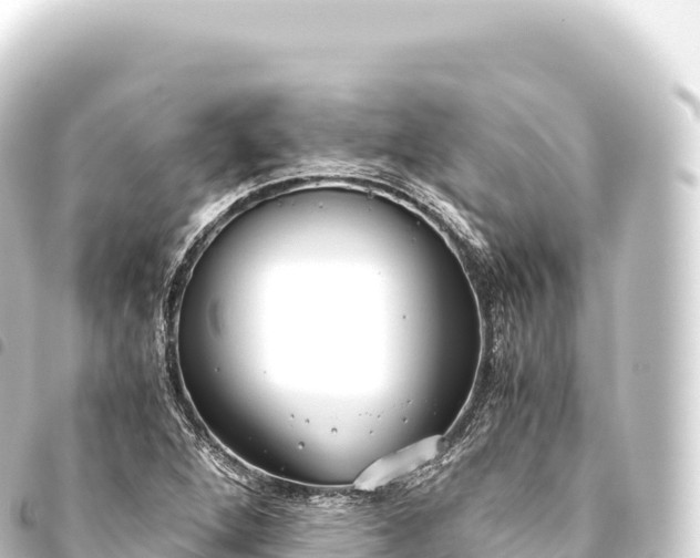 X0000093771264200710301158