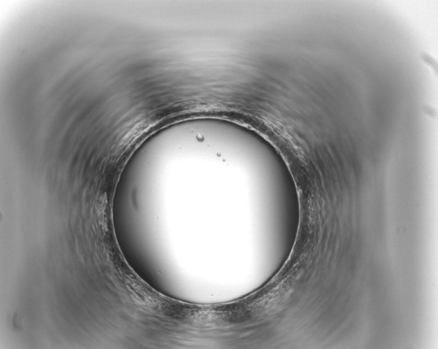 X0000093771265200710301158