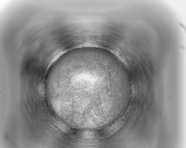 X0000093771266200710301158