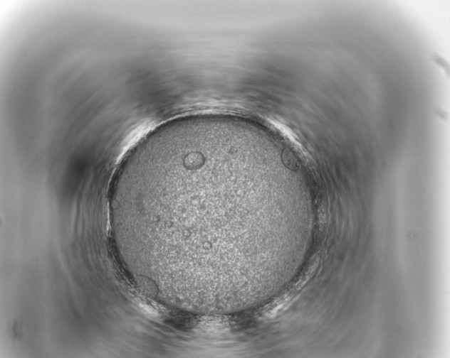 X0000093771267200710301158