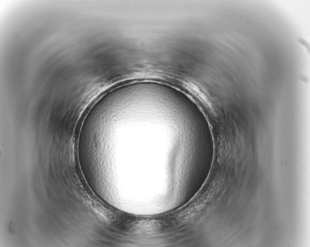 X0000093771268200710301158