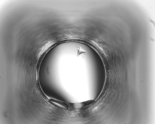 X0000093771269200710301158