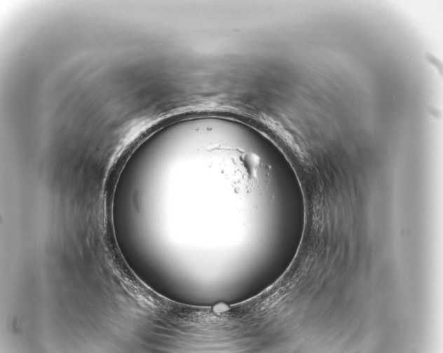 X0000093771270200710301158