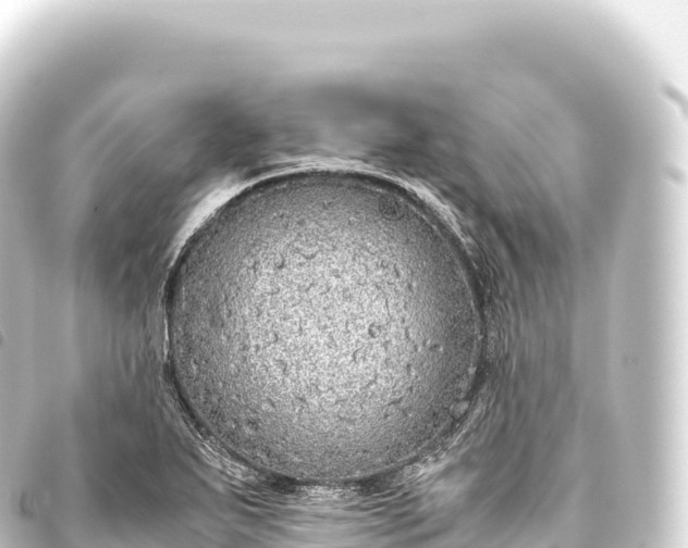 X0000093771271200710301158