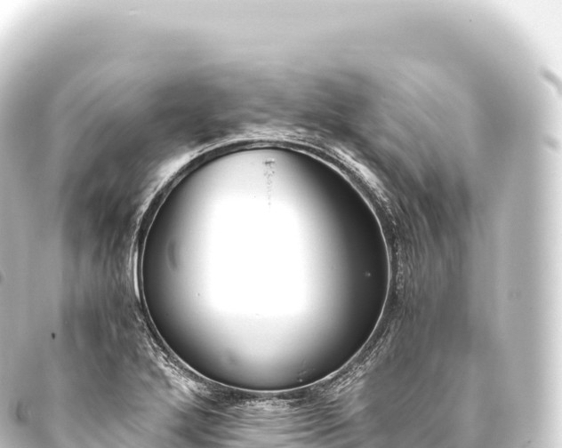 X0000093771272200710301158