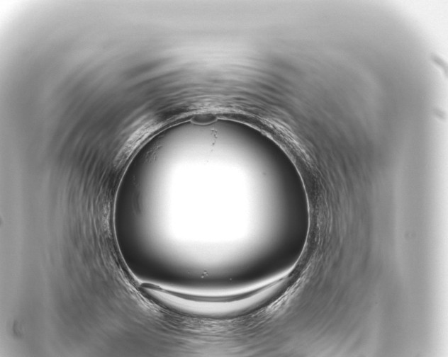 X0000093771273200710301158