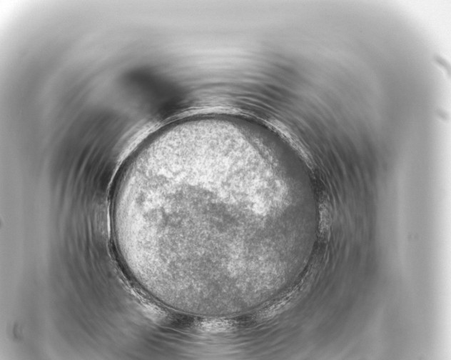 X0000093771274200710301158