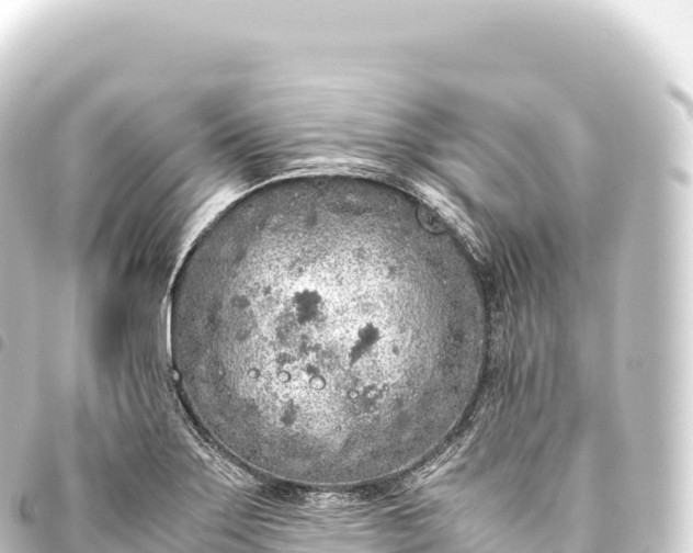 X0000093771275200710301158