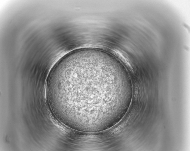 X0000093771276200710301158