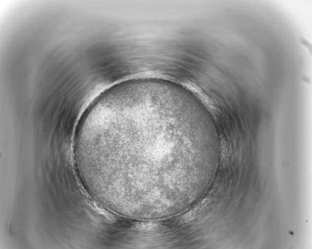 X0000093771278200710301158