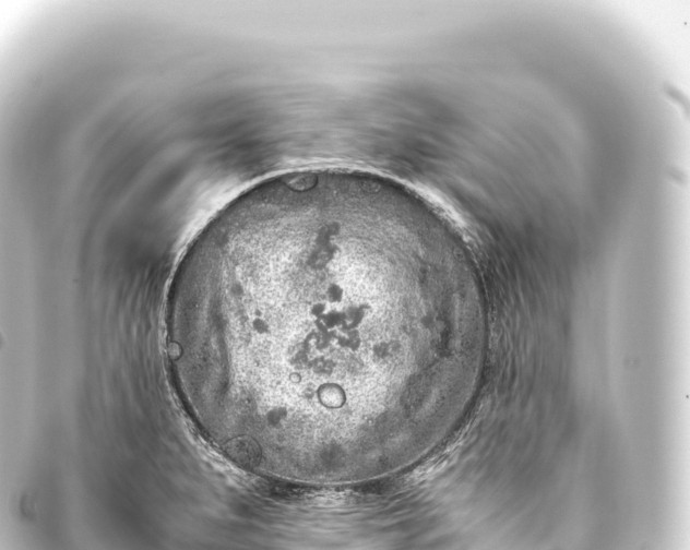 X0000093771279200710301158