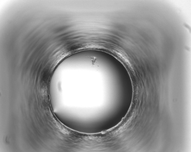 X0000093771281200710301157