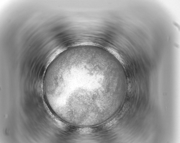 X0000093771282200710301157