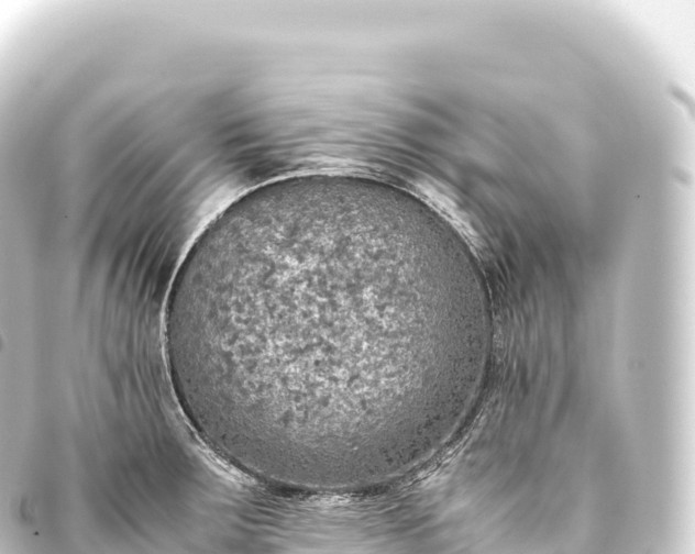 X0000093771283200710301157