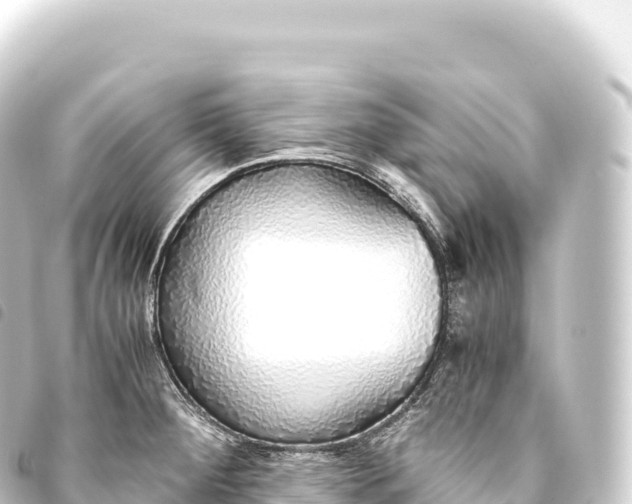 X0000093771284200710301157