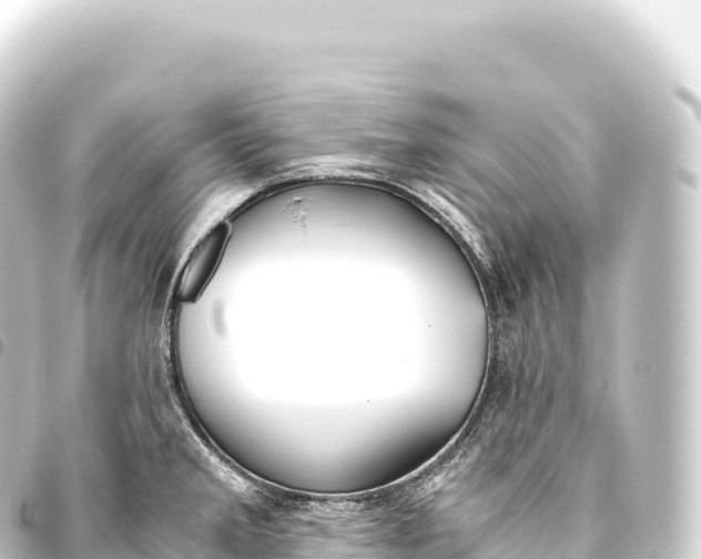 X0000093771285200710301157