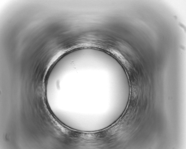 X0000093771286200710301157