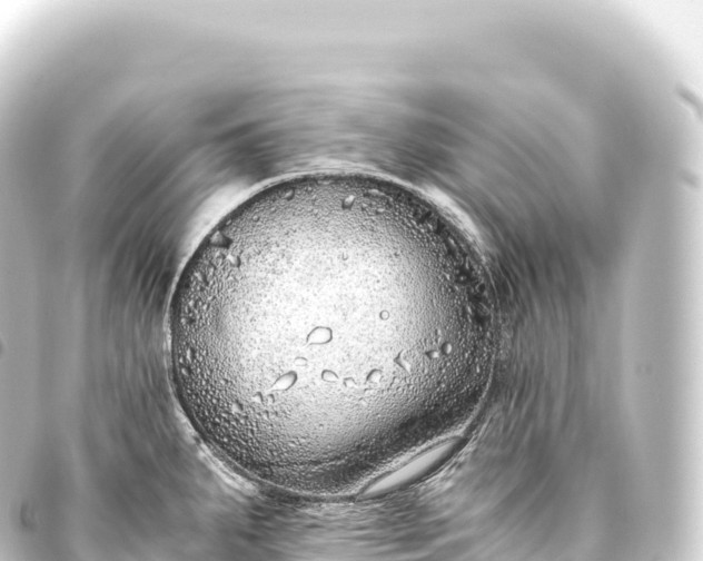 X0000093771287200710301157