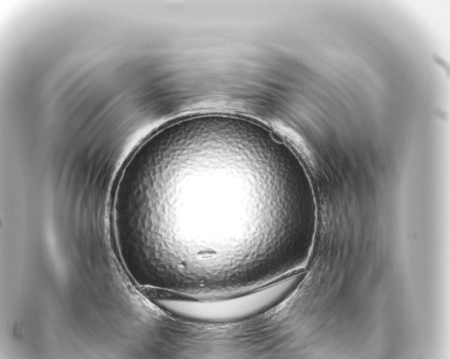 X0000093771288200710301157