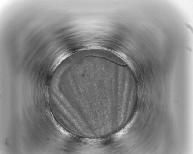 X0000093771289200710301157