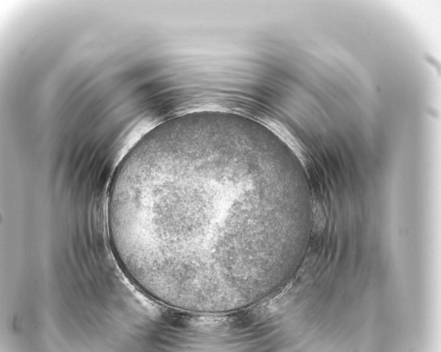 X0000093771290200710301157