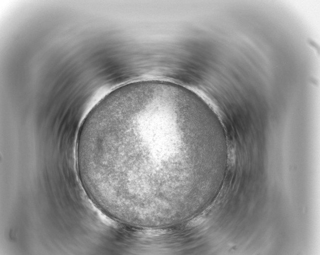 X0000093771294200710301157