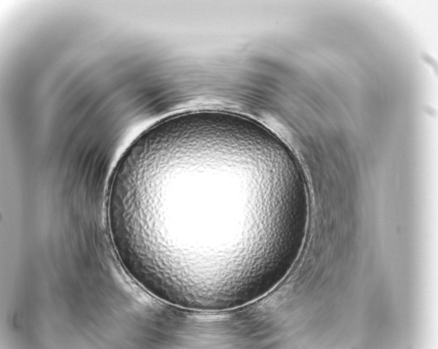 X0000093771296200710301157