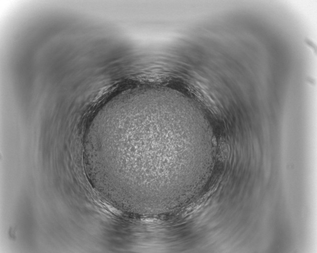 X0000093771297200710301157